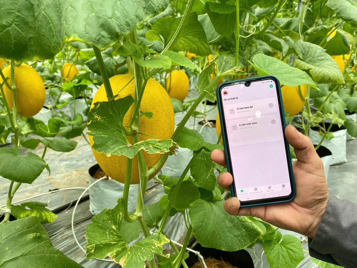 Nông nghiệp thông minh gói gọn trong một chiếc điện thoại