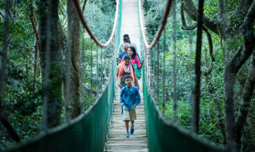 Ấn Độ: Thị trường gửi khách giàu tiềm năng 