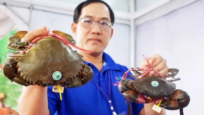 Exports of crabs and shellfish hit record high in 2025