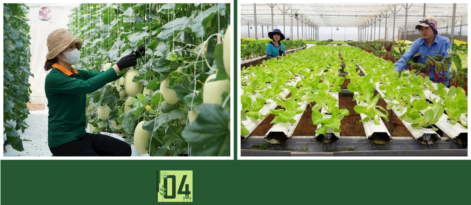 Xuất khẩu nông sản hướng tới mục tiêu 73–74 tỷ USD  - Ảnh 5