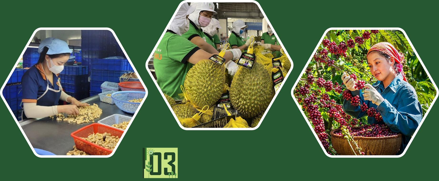 Xuất khẩu nông sản hướng tới mục tiêu 73–74 tỷ USD  - Ảnh 4