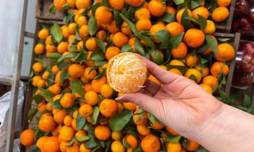 Hàng loạt trái cây chính vụ đổ bộ chợ Việt