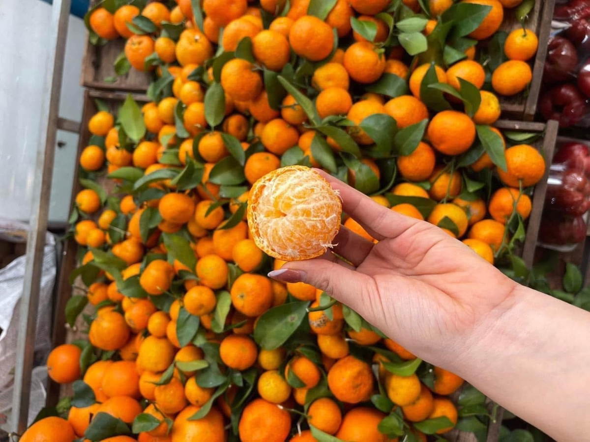 Quýt đường là một trong các loại trái cây đang được người tiêu dùng quan tâm hiện nay.