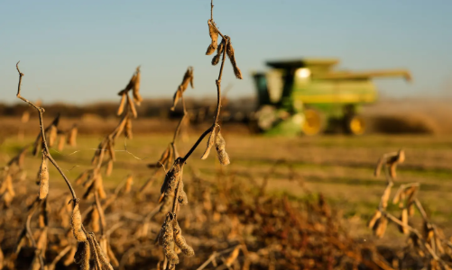 Trung Quốc hoàn tất cam kết mua đậu tương Mỹ giai đoạn đầu