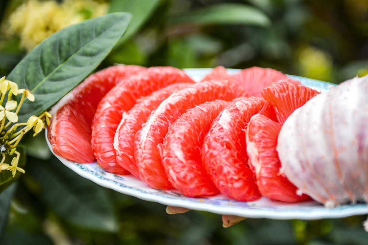 Bưởi đỏ tiến vua có màu đỏ từ vỏ đến múi, đặc trưng riêng của Luận Văn.