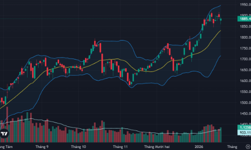 Dòng tiền bắt đáy chọn lọc
