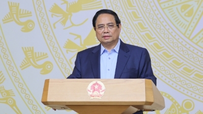 Strengthening the Steering Committee for HCMC’s specific development mechanisms