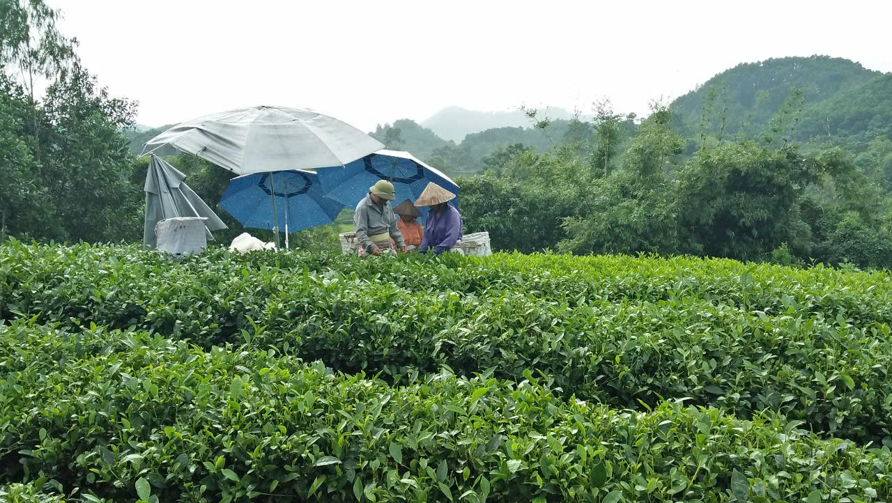 Cung cấp thông tin về các chính sách giảm nghèo giúp người dân có thêm kiếm thức để chủ động trong sản xuất, trồng trọt. Ảnh: Nhật Dương.