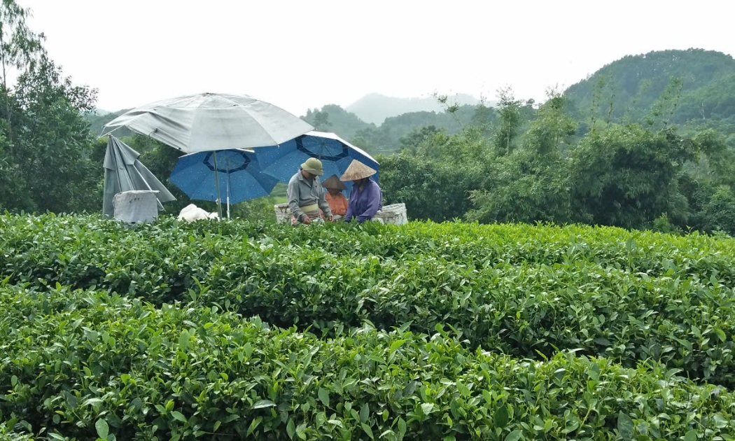 Cung cấp thông tin về các chính sách giảm nghèo giúp người dân có thêm kiếm thức để chủ động trong sản xuất, trồng trọt. Ảnh: Nhật Dương.