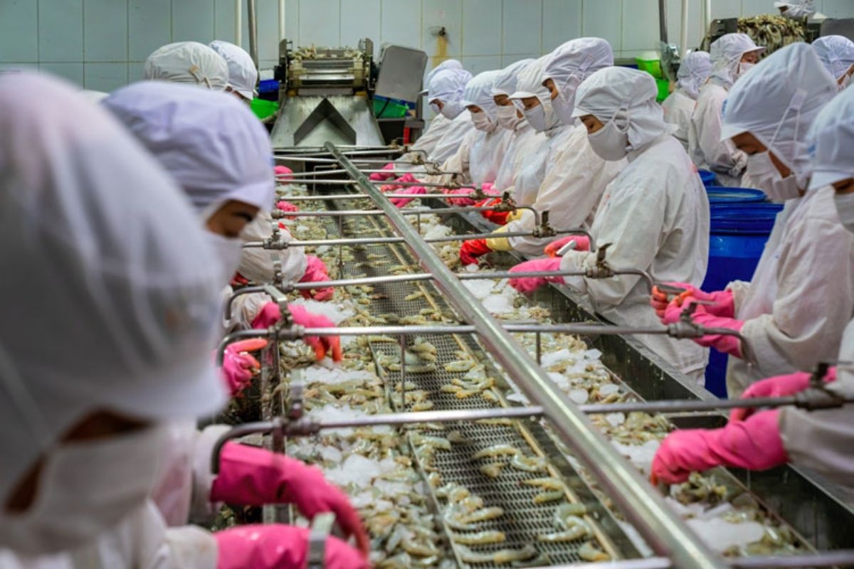 Kim ngạch xuất khẩu thuỷ sản năm 2025 đạt 11,3 tỷ USD.