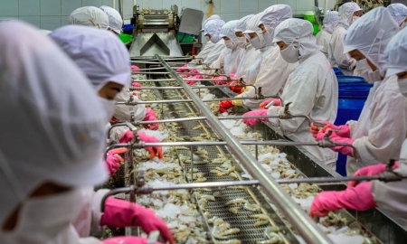 Kim ngạch xuất khẩu thuỷ sản năm 2025 đạt 11,3 tỷ USD.
