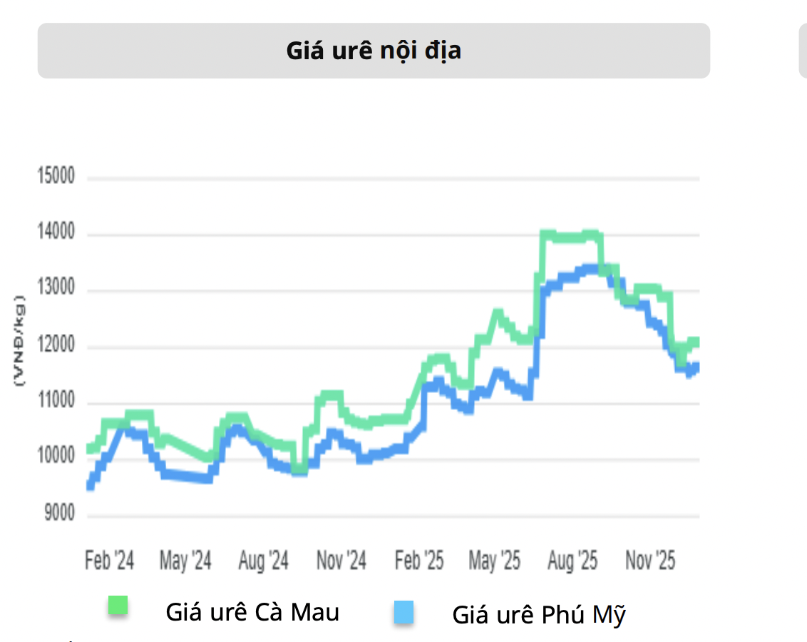 Cổ phiếu phân bón bùng nổ, triển vọng thế nào trong năm 2026?  - Ảnh 1