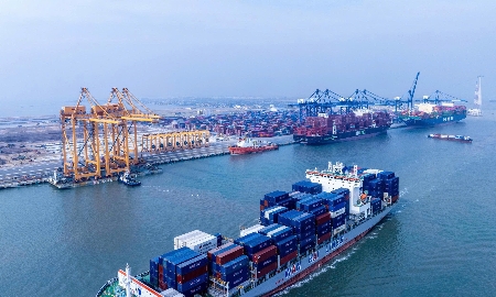 Cát Hải, Hải Phòng: Khởi sắc từ mô hình đặc khu - Chính quyền hai cấp