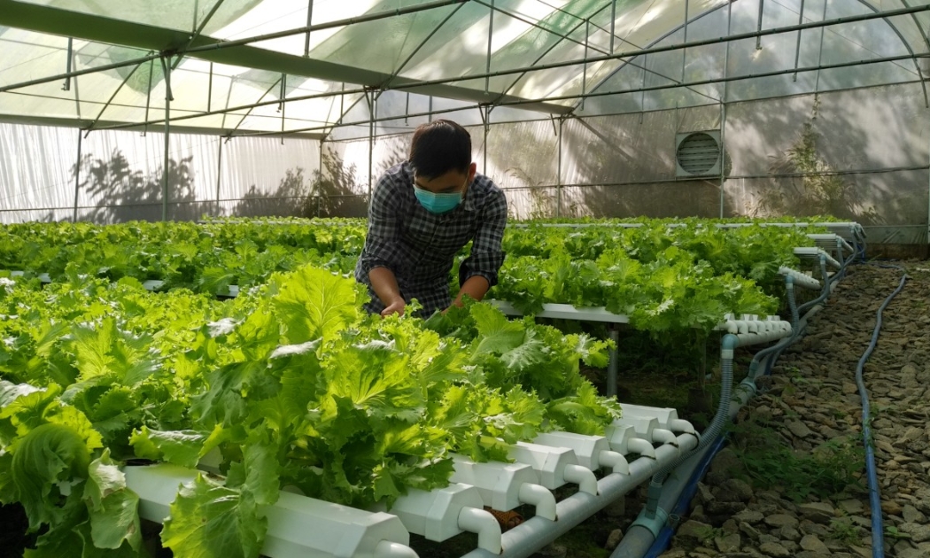 Giảm nghèo đa chiều: Từ trụ cột chính sách đến động lực chuyển đổi số