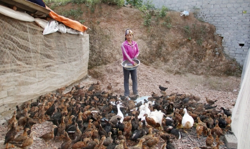 Bắc Ninh: Chuyển đổi số làm trụ cột giảm nghèo bền vững