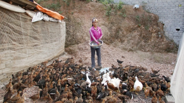 Bắc Ninh: Chuyển đổi số làm trụ cột giảm nghèo bền vững