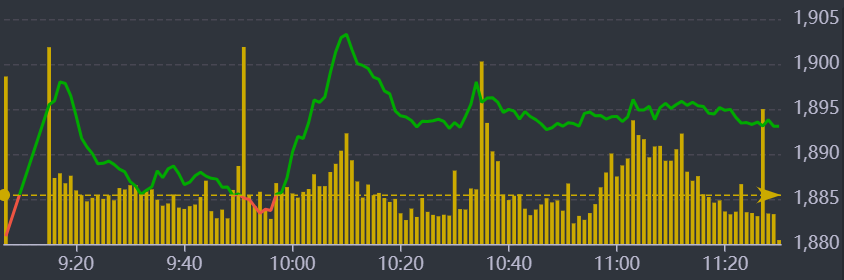 Diễn biến VN-Index sáng nay.