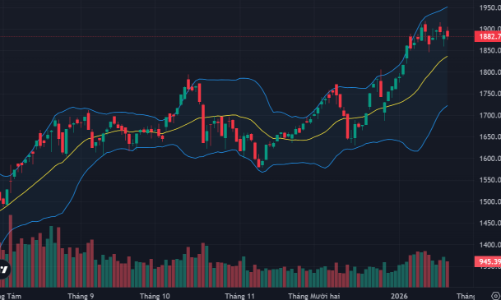 Cổ phiếu lớn lao dốc 