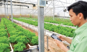 Nông dân Tây Nguyên thoát nghèo bền vững nhờ công nghệ và chuyển đổi số