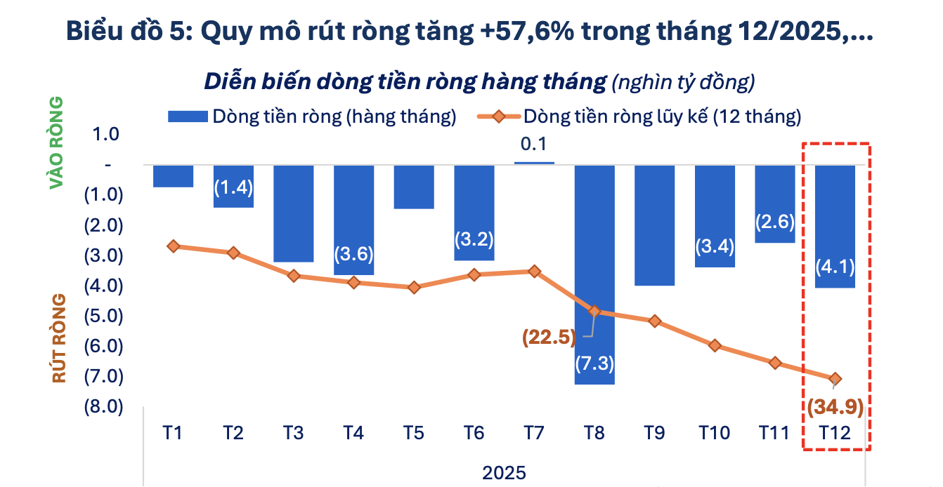 Thêm một năm rút ròng kỷ lục của các quỹ cổ phiếu, quy mô 31.000 tỷ đồng - Ảnh 1