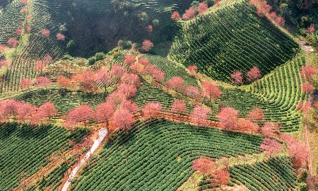 Những điểm đến được tìm kiếm nhiều nhất dịp Tết Bính Ngọ