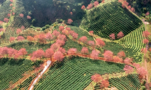 Những điểm đến được tìm kiếm nhiều nhất dịp Tết Bính Ngọ