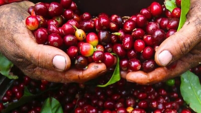 Vietnam-Japan trade surpasses $50 bln mark for the first time