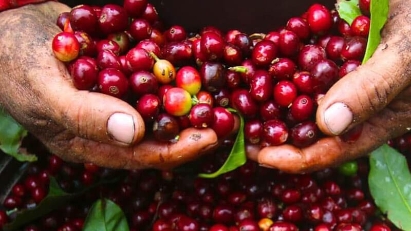 Vietnam-Japan trade surpasses $50 bln mark for the first time