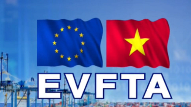 MoIT designated as focal point for three major FTAs