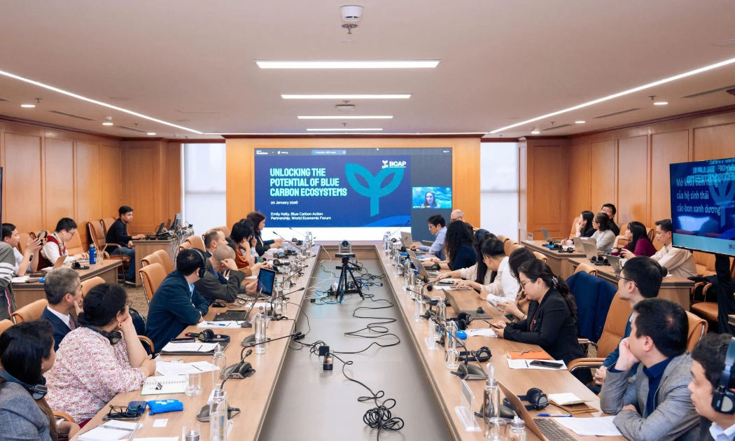 Hỗ trợ Việt Nam khai mở tiềm năng carbon xanh, thực hiện các cam kết khí hậu