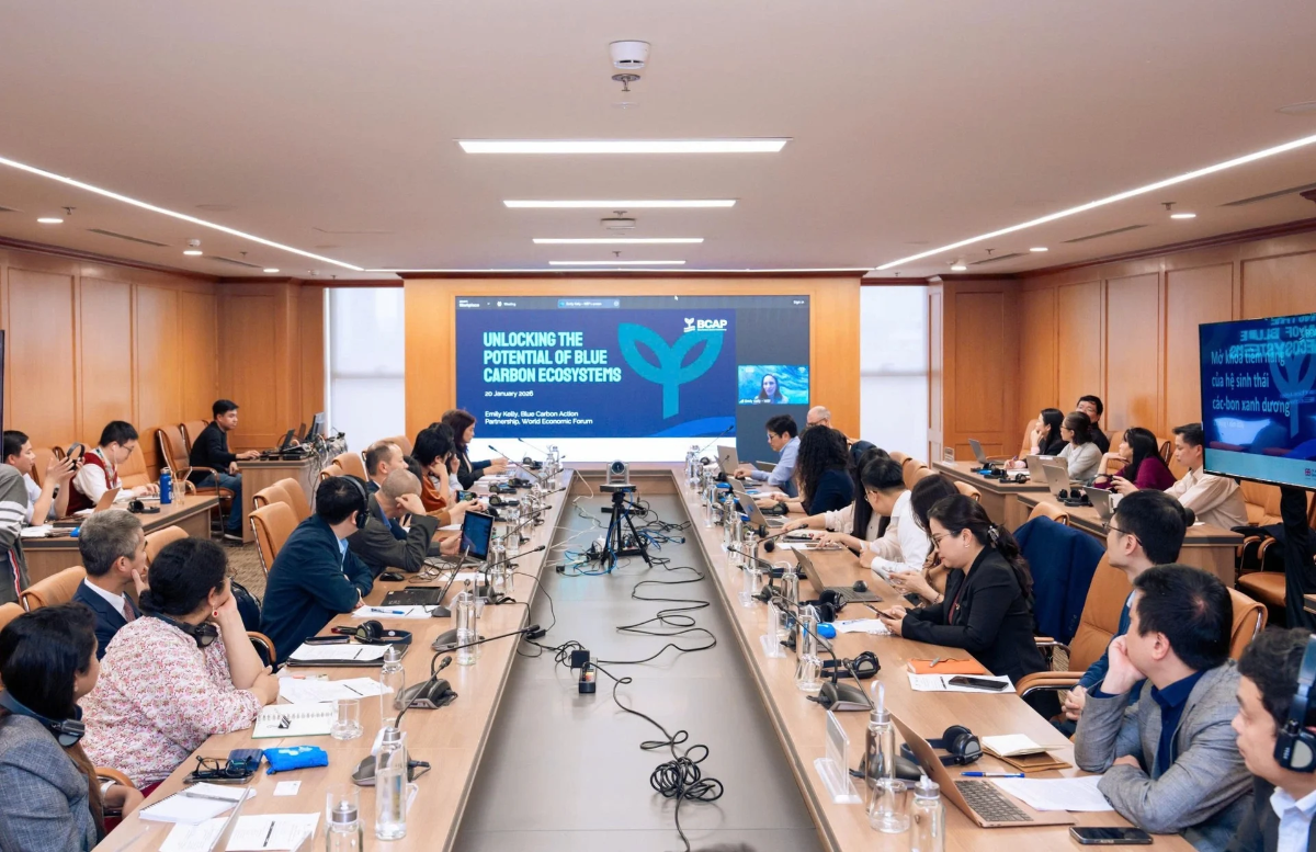 Cuộc họp đề xuất lộ trình triển khai Chương trình Đối tác hành động carbon xanh tại Việt Nam (NBCAP), đồng thời ra mắt Ban Thư ký NBCAP Việt Nam do UNDP chủ trì. Ảnh: ICD