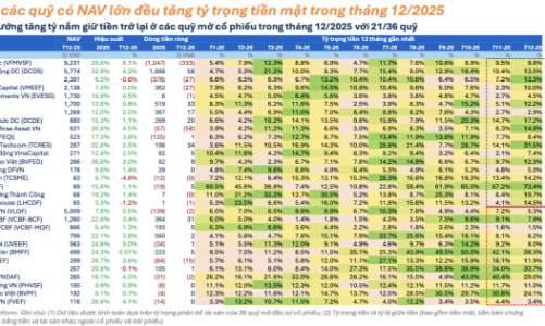 Các quỹ cổ phiếu quay lại trạng thái phòng thủ, ôm tỷ trọng tiền mặt cao 