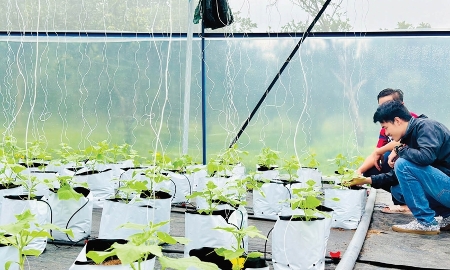 Hợp tác xã góp phần định hình kinh tế xanh ở Huế.