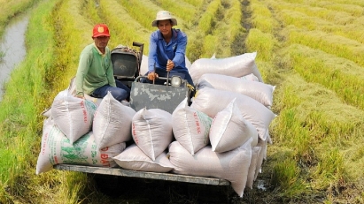 Vietnam reaches record 500,000 tons in national food reserves