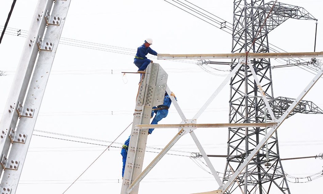 Đẩy nhanh tiến độ các dự án lưới điện truyền tải trọng điểm tại Ninh Bình