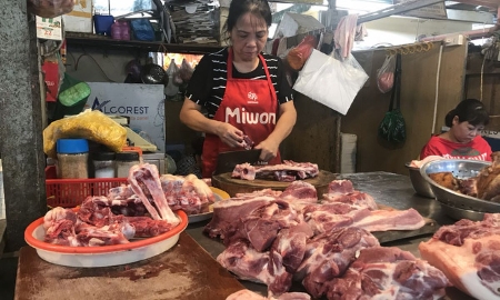 Hiện giá bán thịt lợn đã tăng rất cao.
