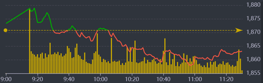 Diễn biến VN-Index sáng nay.