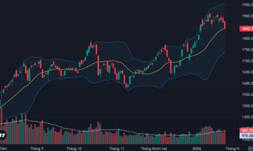 Ào ào bán tháo cổ phiếu, VN-Index giảm mạnh nhất 7 phiên