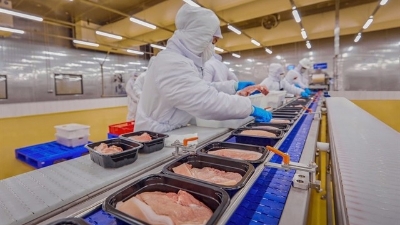 Livestock exports top $628 mln in 2025