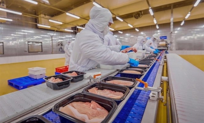 Livestock exports top $628 mln in 2025