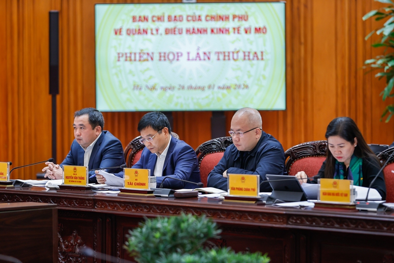 Các đại biểu dự Phiên họp - Ảnh: VGP