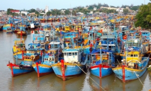 Hoàn thiện khung pháp lý thủy sản, tăng cường chống khai thác IUU