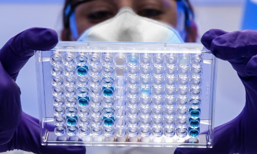 Châu Á cảnh giác trước đợt tái xuất của virus Nipah tại Ấn Độ 