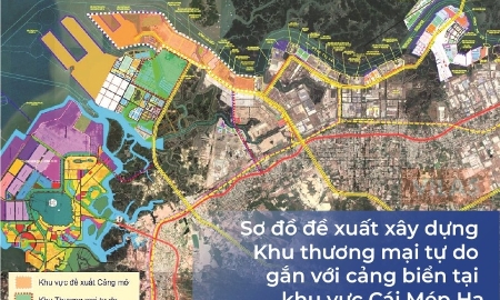 FTZ Cái Mép Hạ được quy hoạch với diện tích khoảng 3.809 ha tại Tân Phước, Tân Hải, gắn liền với cảng biển Cái Mép Hạ. Đây là mô hình phát triển phức hợp đa chức năng, tích hợp cảng biển, logistics, công nghiệp và đô thị dịch vụ và trung tâm đổi mới sáng tạo.
