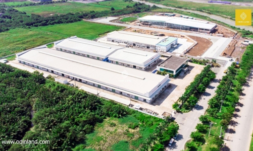 Chiến lược xanh hóa bền vững từ tối ưu vận hành và tiết kiệm năng lượng