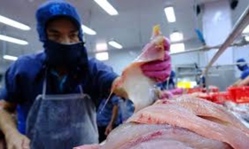 Thương mại Việt Nam – Singapore đạt kỷ lục mới và “bước nhảy vọt” của xuất khẩu thủy sản