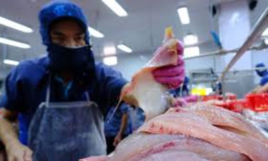 Thương mại Việt Nam – Singapore đạt kỷ lục mới và “bước nhảy vọt” của xuất khẩu thủy sản