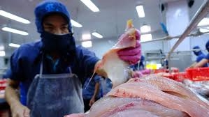 Sản phẩm thuỷ sản chủ lực Việt Nam xuất khẩu sang thị trường Singapore chính là phi lê cá và thịt cá ướp lạnh/cấp đông.