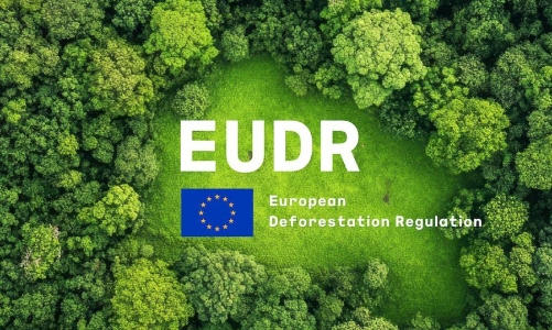 Các mặt hàng nông-lâm sản xuất khẩu chủ lực của Việt Nam trước áp lực tiêu chuẩn chống phá rừng của EU