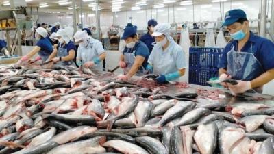 Vietnam-Singapore trade hits record high as seafood exports leap forward